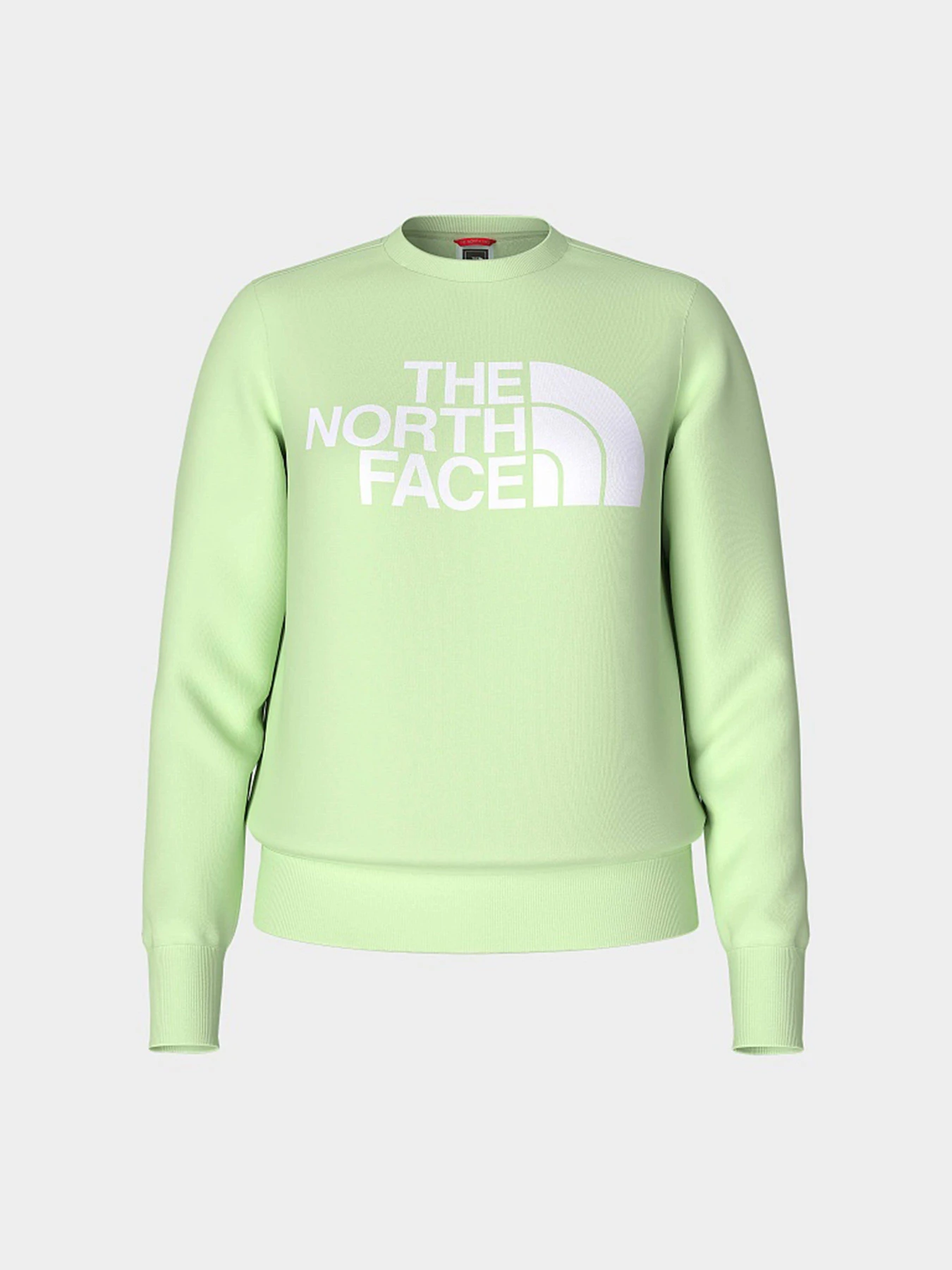 Худи и свитшоты The North Face Standard модель NF0A4M7EN131 Худи и свитшоты The North Face Standard модель NF0A4M7EN131 Фото