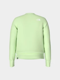 Худи и свитшоты The North Face Standard модель NF0A4M7EN131 Фото
