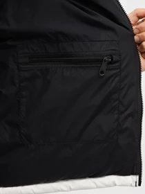 Куртки и дубленки The North Face 96 Nuptse Dip Dye модель NF0A84QWMTT1 Фото