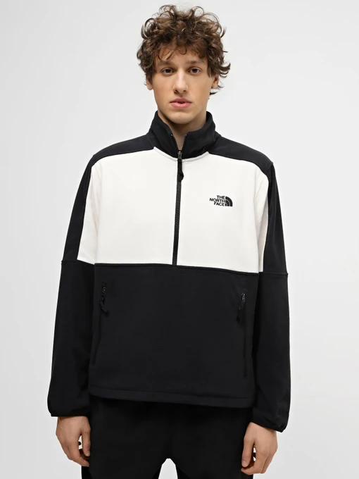 Худи и свитшоты The North Face Polartec® 100 модель NF0A7ZXVQ4C1 Фото