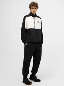 Худи и свитшоты The North Face Polartec® 100 модель NF0A7ZXVQ4C1 Фото