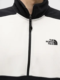 Худи и свитшоты The North Face Polartec® 100 модель NF0A7ZXVQ4C1 Фото