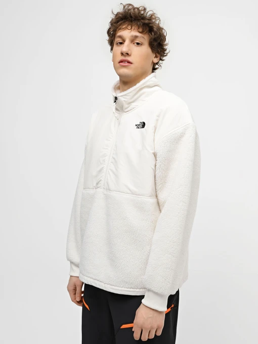 Худи и свитшоты The North Face High Pile Fleece модель NF0A5GFJN3N1 Фото