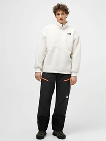 Худі та світшоти The North Face High Pile Fleece модель NF0A5GFJN3N1 Фото