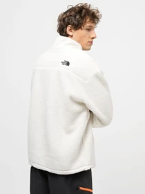 Худі та світшоти The North Face High Pile Fleece модель NF0A5GFJN3N1 Фото