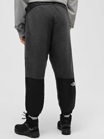 Брюки The North Face Fleeski Y2K модель NF0A852KMN81 Фото