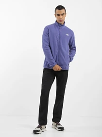 Худи и свитшоты The North Face Resolve Full Zip модель NF0A4M9SI0D1 Фото