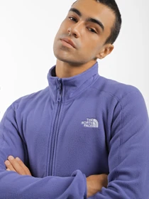Худи и свитшоты The North Face Resolve Full Zip модель NF0A4M9SI0D1 Фото