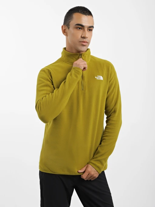 Худи и свитшоты The North Face Resolve 1/4 Zip Fleece модель NF0A4M9TI0N1 Фото
