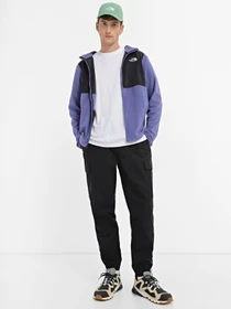 Худі та світшоти The North Face HOMESAFE FULL-ZIP FLEECE модель NF0A855JKMI1 Фото
