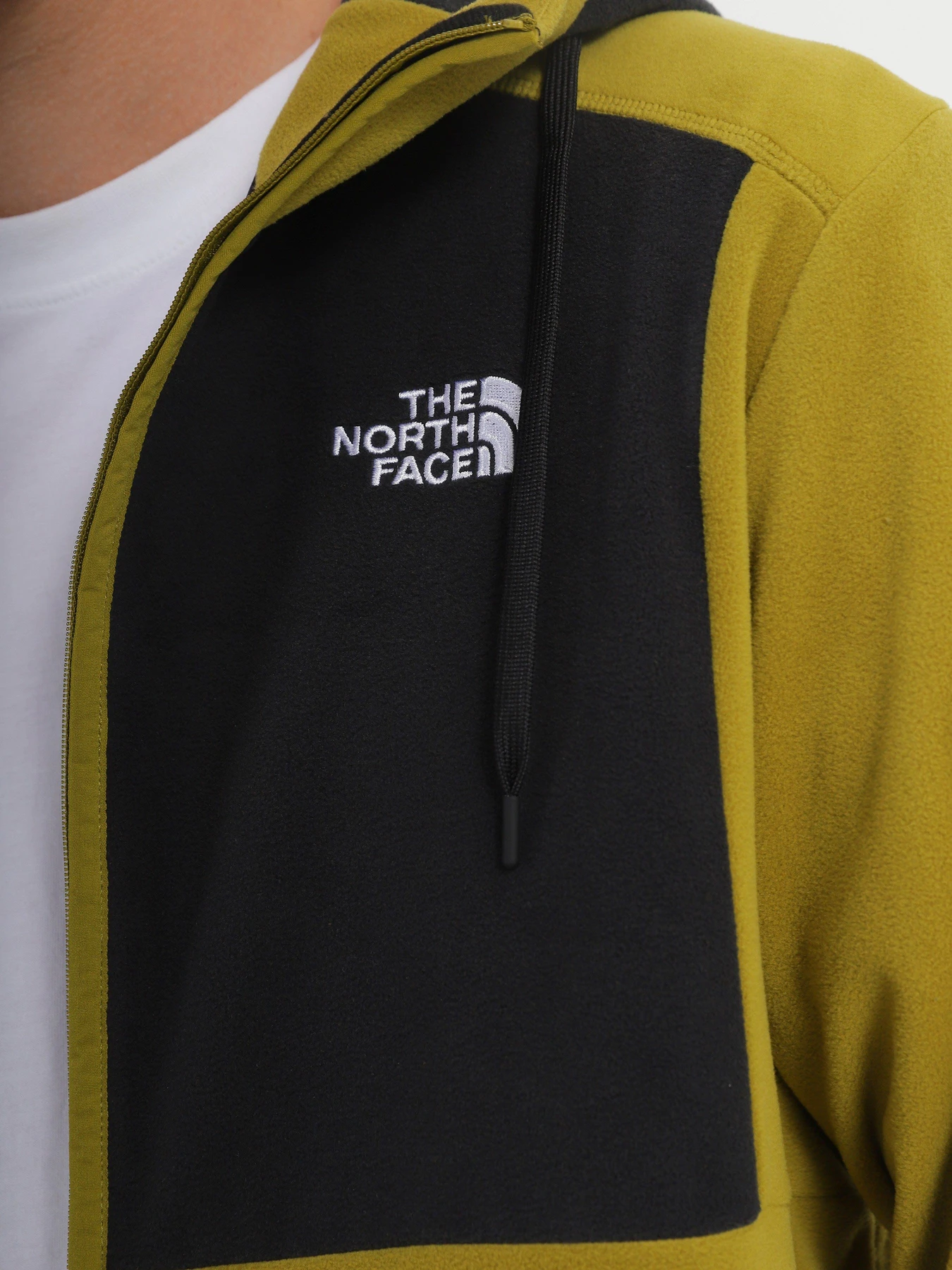 Худи и свитшоты The North Face HOMESAFE FULL-ZIP FLEECE модель NF0A855JKTI1 Худи и свитшоты The North Face HOMESAFE FULL-ZIP FLEECE модель NF0A855JKTI1 Фото