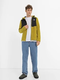 Худи и свитшоты The North Face HOMESAFE FULL-ZIP FLEECE модель NF0A855JKTI1 Фото