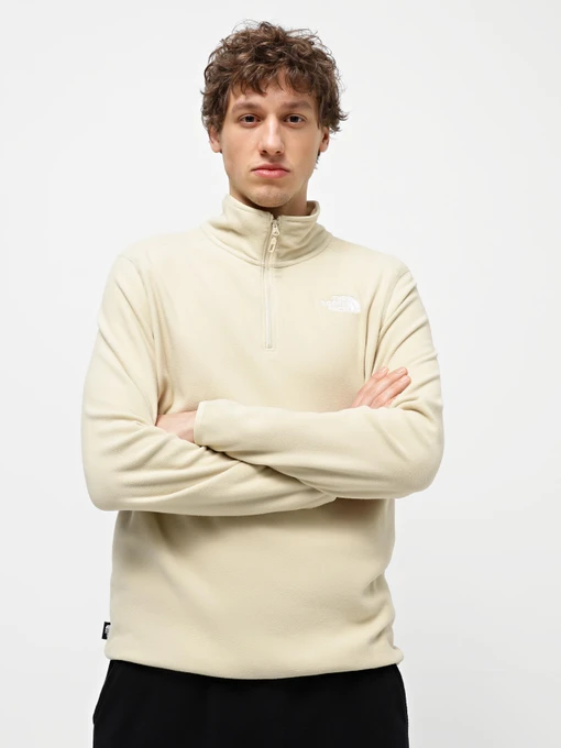 Худи и свитшоты The North Face 100 GLACIER 1/4 ZIP FLEECE модель NF0A855W3X41 Фото