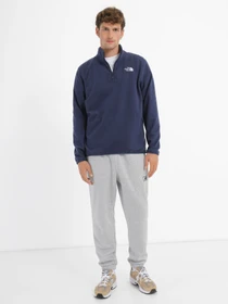 Худи и свитшоты The North Face 100 Glac 1/4 Zip модель NF0A855W8K21 Фото