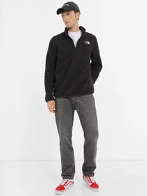 Худі та світшоти The North Face 100 GLACIER 1/4 ZIP модель NF0A855WJK31 Фото