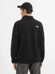 Худі та світшоти The North Face 100 GLACIER 1/4 ZIP модель NF0A855WJK31 Фото