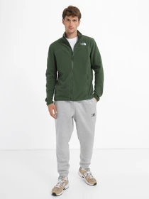 Худи и свитшоты The North Face 100 Glacier Full Zip модель NF0A855XI0P1 Фото
