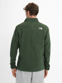 Худи и свитшоты The North Face 100 Glacier Full Zip модель NF0A855XI0P1 Фото