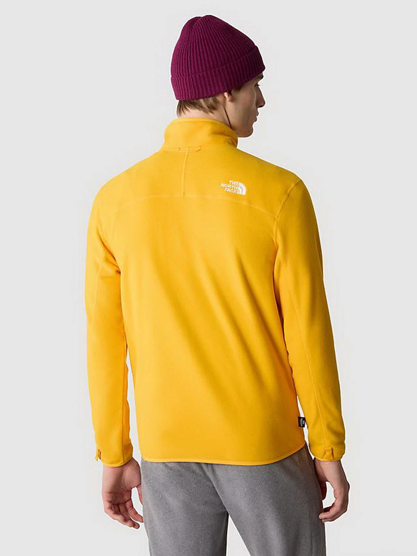 Худи и свитшоты The North Face 100 Glacier Full Zip модель NF0A855X56P1 Худи и свитшоты The North Face 100 Glacier Full Zip модель NF0A855X56P1 Фото