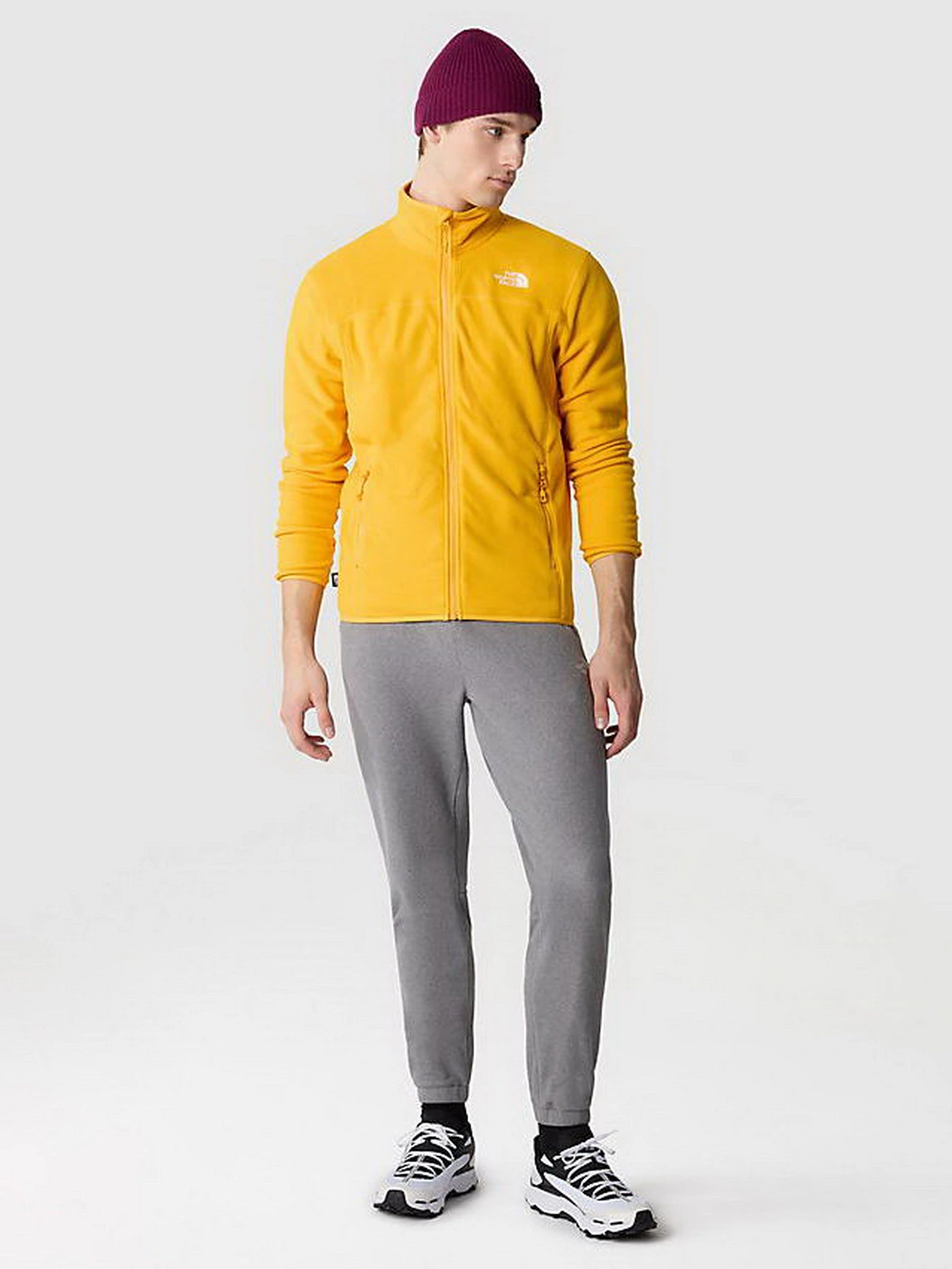 Худи и свитшоты The North Face 100 Glacier Full Zip модель NF0A855X56P1 Худи и свитшоты The North Face 100 Glacier Full Zip модель NF0A855X56P1 Фото