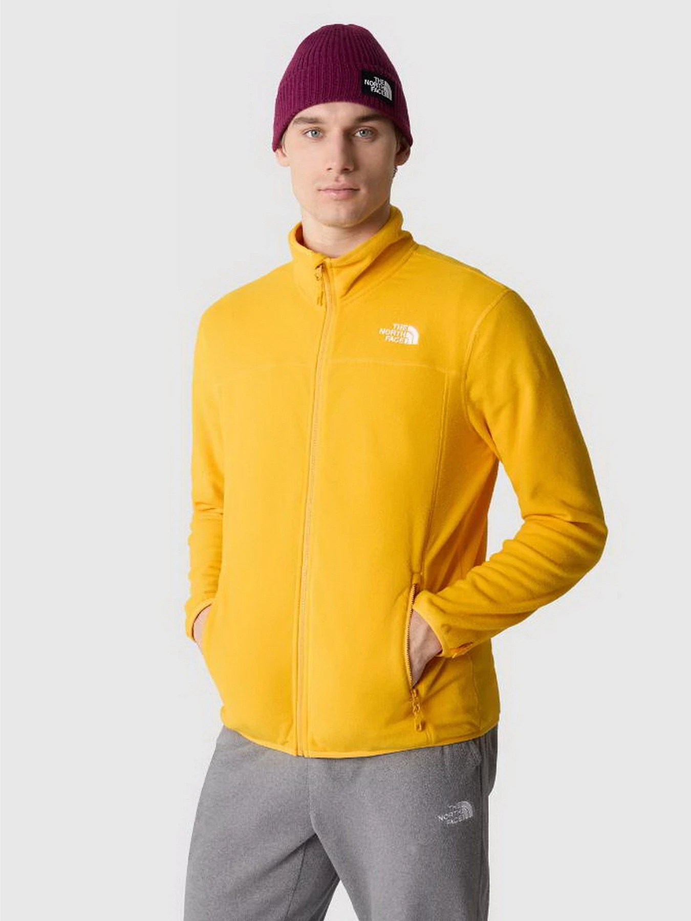 Худи и свитшоты The North Face 100 Glacier Full Zip модель NF0A855X56P1 Худи и свитшоты The North Face 100 Glacier Full Zip модель NF0A855X56P1 Фото