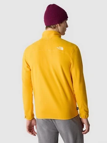 Худи и свитшоты The North Face 100 Glacier Full Zip модель NF0A855X56P1 Фото
