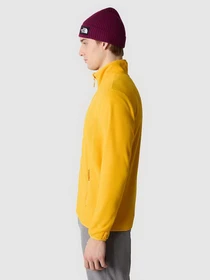 Худи и свитшоты The North Face 100 Glacier Full Zip модель NF0A855X56P1 Фото