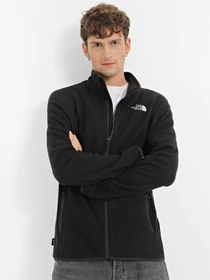 Худи и свитшоты The North Face 100 Glacier Full Zip модель NF0A855XJK31 Фото