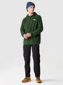 Худи и свитшоты The North Face 100 GLACIER модель NF0A855ZI0P1 Фото
