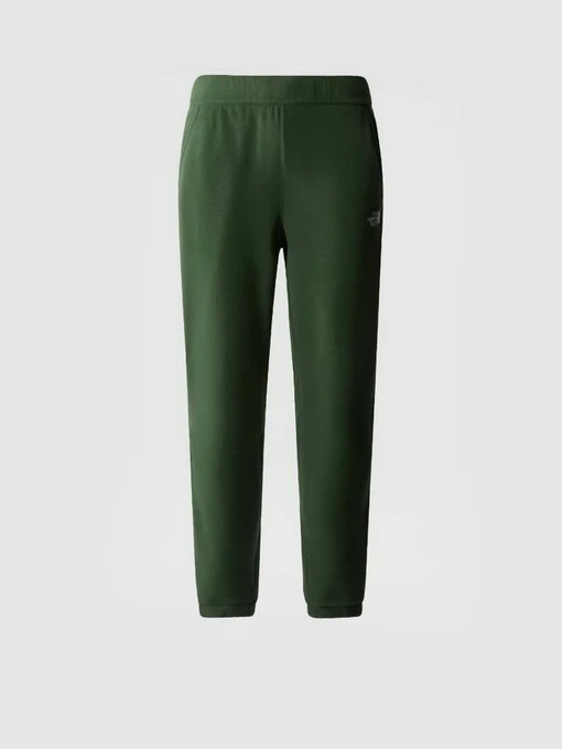 Штани The North Face 100 Glacier модель NF0A8561I0P1 Фото