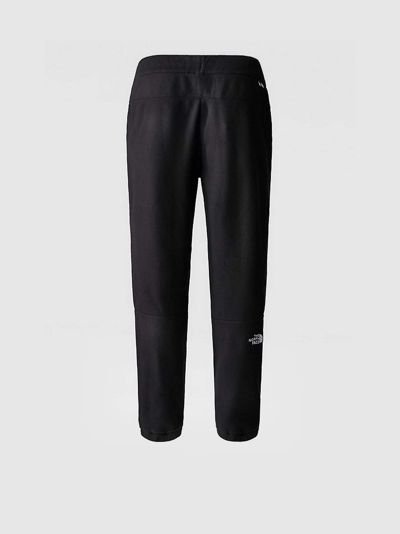 Брюки The North Face 100 Glacier модель NF0A8561JK31 Брюки The North Face 100 Glacier модель NF0A8561JK31 Фото