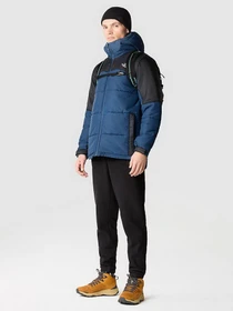 Брюки The North Face 100 Glacier модель NF0A8561JK31 Фото