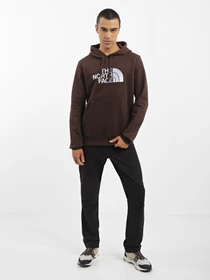 Худи и свитшоты The North Face Drew Peak модель NF00AHJYI0I1 Фото