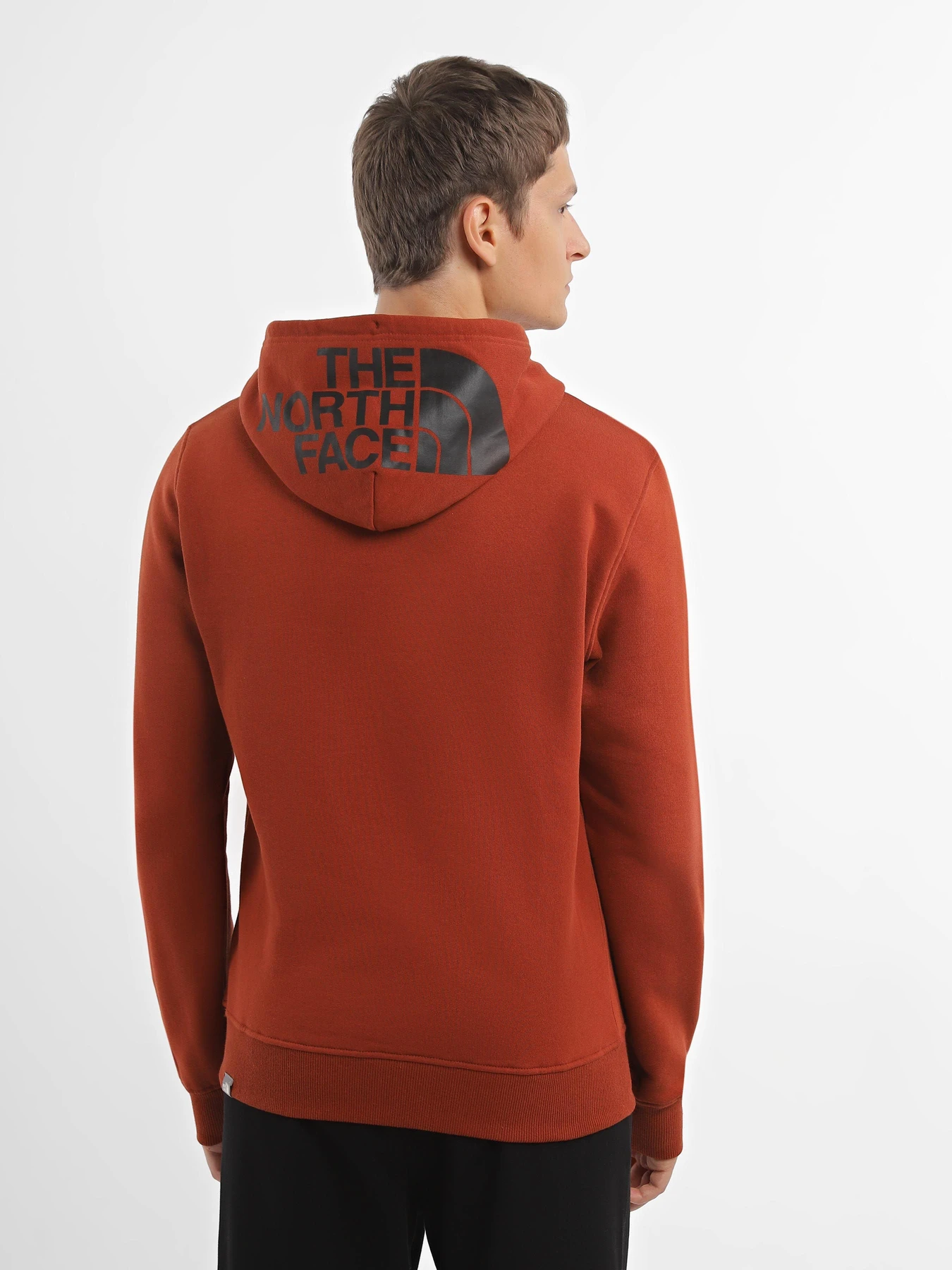 Худі та світшоти The North Face Seasonal Drew Peak модель NF0A2TUVUBC1 Худі та світшоти The North Face Seasonal Drew Peak модель NF0A2TUVUBC1 Фото