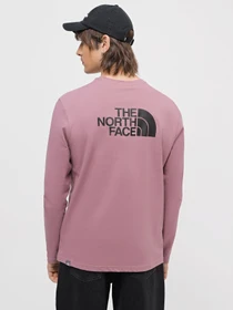 Худи и свитшоты The North Face Easy модель NF0A2TX1I0V1 Фото