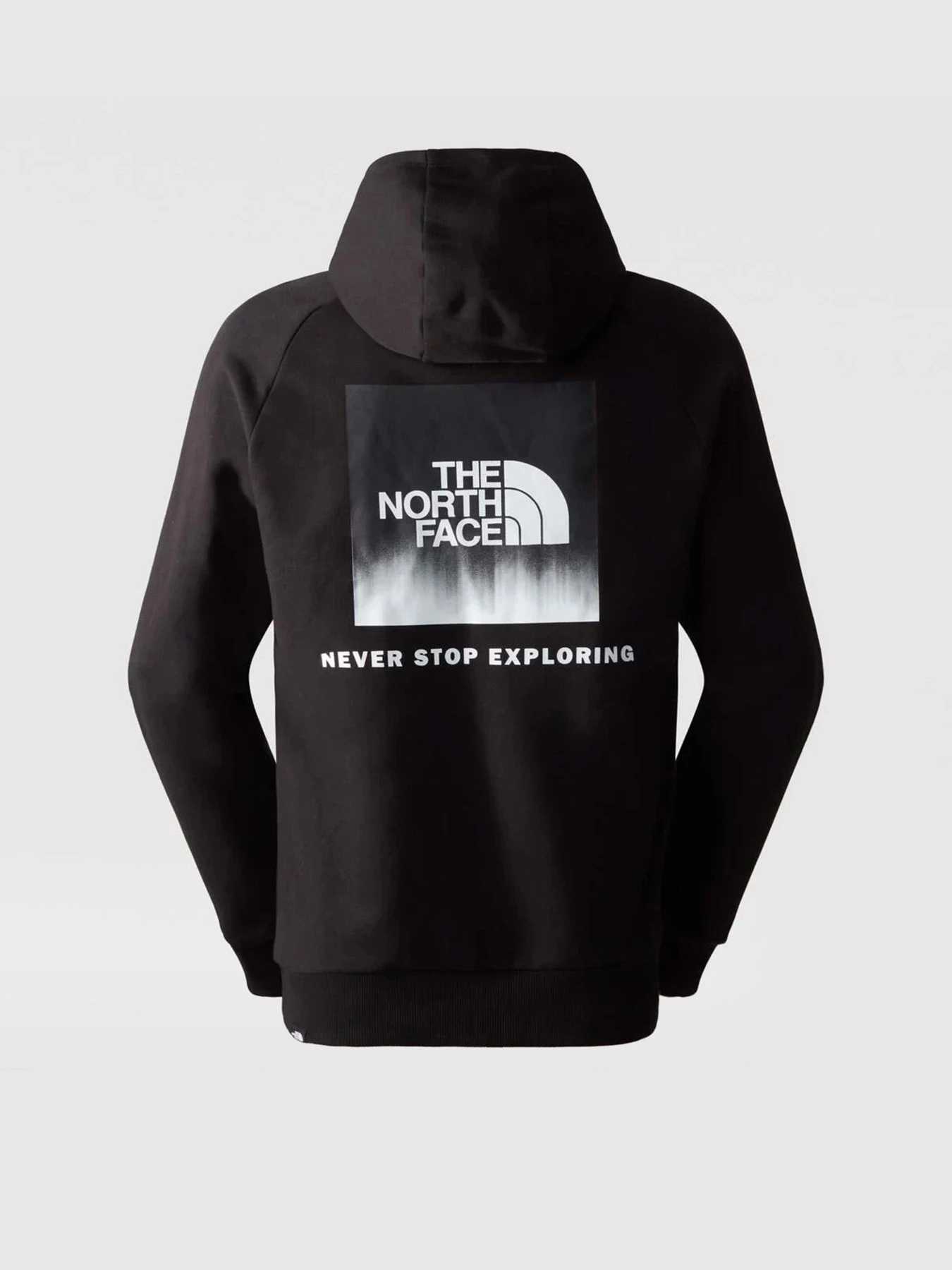 Худи и свитшоты The North Face Redbox модель NF0A2ZWUO4M1 Фото
