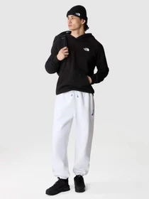 Худи и свитшоты The North Face Redbox модель NF0A2ZWUO4M1 Фото
