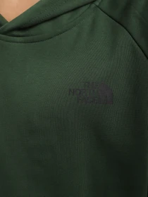 Худи и свитшоты The North Face Redbox модель NF0A2ZWUI0P1 Фото