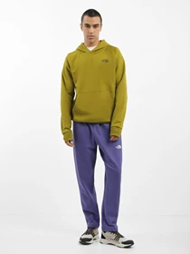 Худи и свитшоты The North Face Redbox модель NF0A2ZWUI0N1 Фото