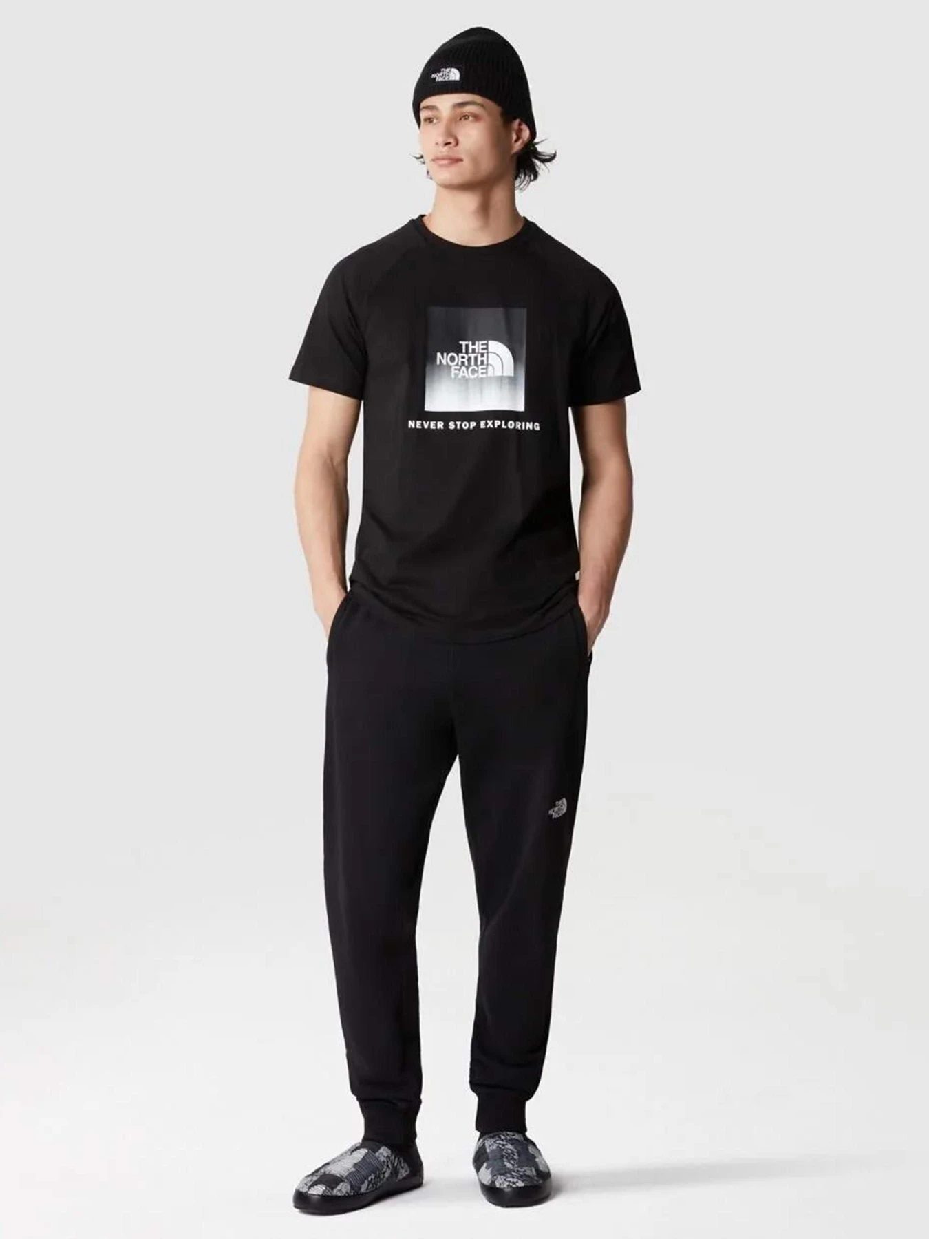 Футболки и поло The North Face Raglan Redbox модель NF0A3BQOO4M1 Фото
