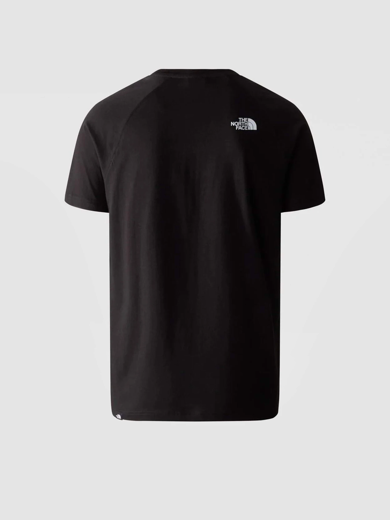 Футболки и поло The North Face Raglan Redbox модель NF0A3BQOO4M1 Фото