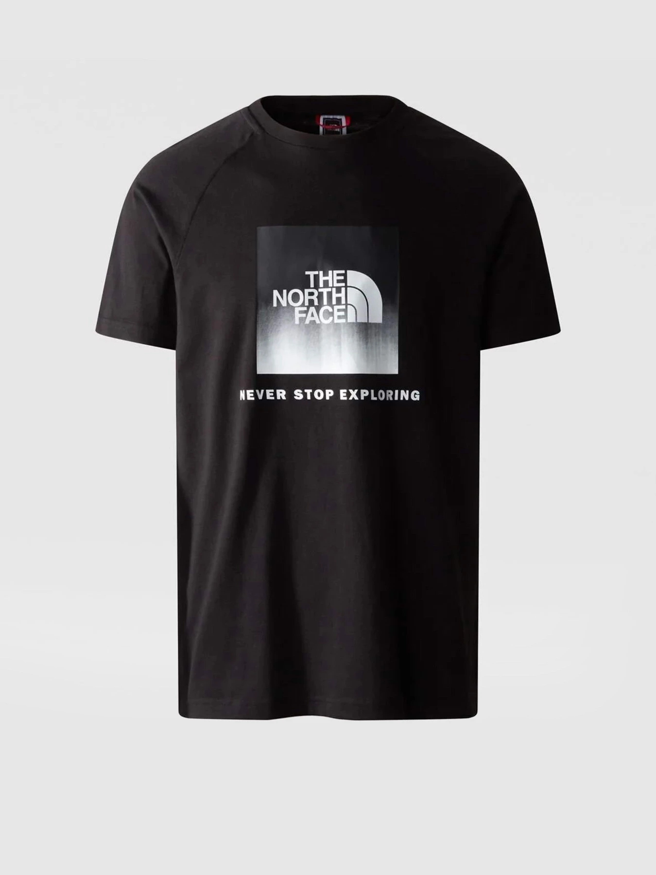 Футболки и поло The North Face Raglan Redbox модель NF0A3BQOO4M1 Фото