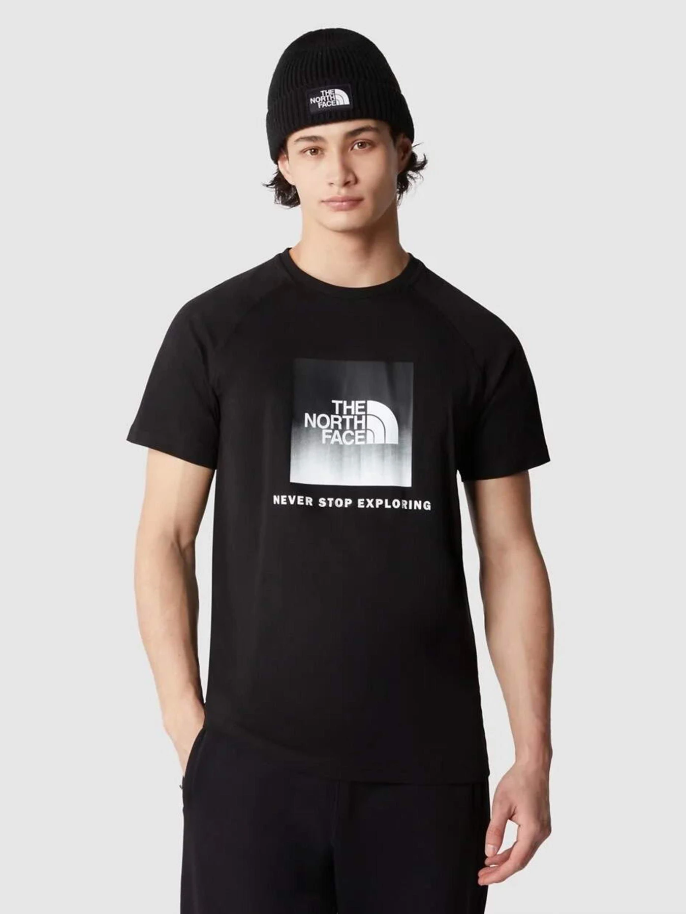 Футболки и поло The North Face Raglan Redbox модель NF0A3BQOO4M1 Фото