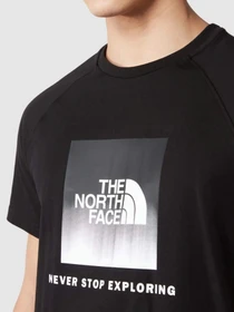 Футболки и поло The North Face Raglan Redbox модель NF0A3BQOO4M1 Фото