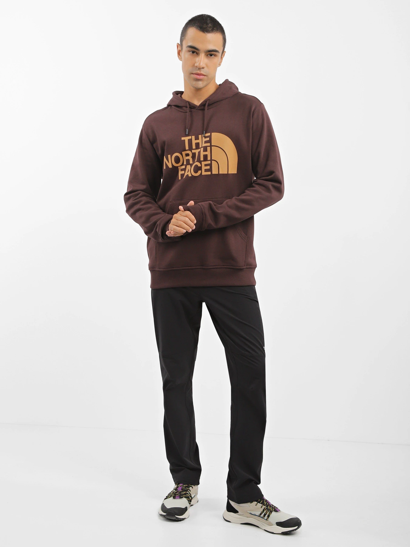 Худі та світшоти The North Face Graphic модель NF0A3XYDKOT1 Фото