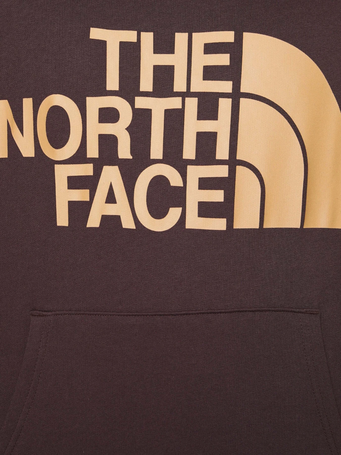 Худі та світшоти The North Face Graphic модель NF0A3XYDKOT1 Фото