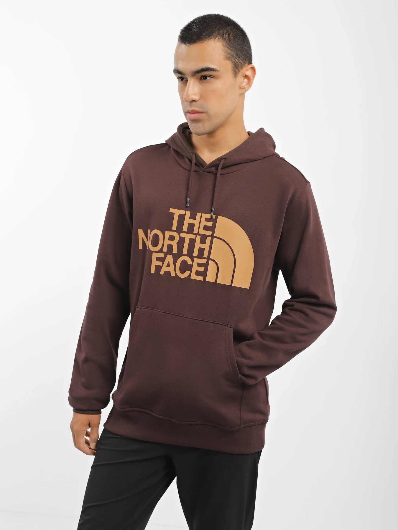Худі та світшоти The North Face Graphic модель NF0A3XYDKOT1 Фото