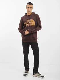 Худі та світшоти The North Face Graphic модель NF0A3XYDKOT1 Фото