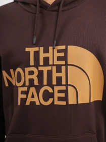 Худі та світшоти The North Face Graphic модель NF0A3XYDKOT1 Фото