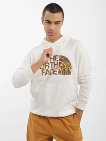 Худі та світшоти The North Face Graphic модель NF0A3XYDO4O1 Фото
